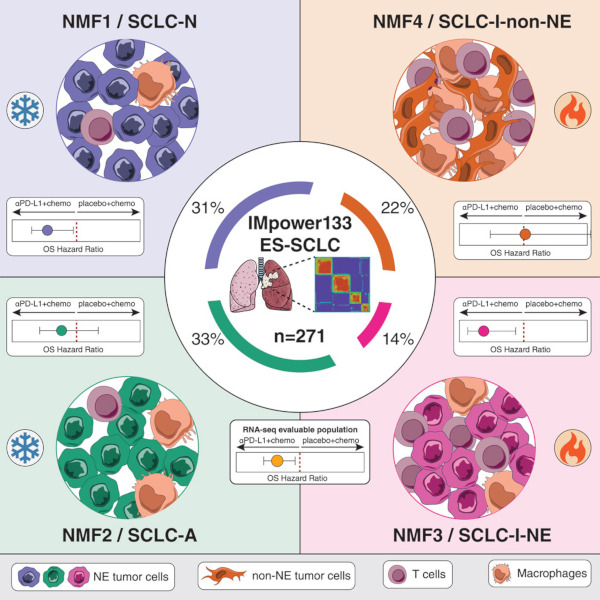 Example graphical abstract for an article featuring Phase III clinical trial data analysis.
